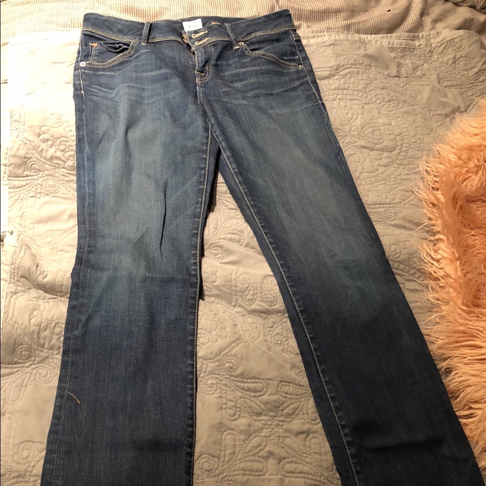 Hudson jeans.  Baby boot cut